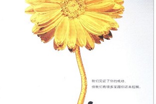 房地产消息 祁阳二手房信息